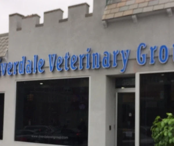 Web image: Clarke And Son Signs Channel Letters 20